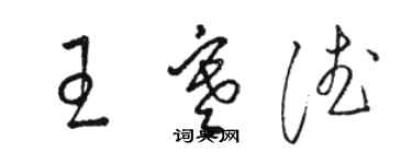 骆恒光王寒德草书个性签名怎么写