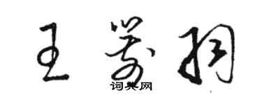 骆恒光王箭羽草书个性签名怎么写