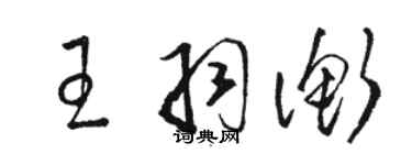 骆恒光王羽衡草书个性签名怎么写