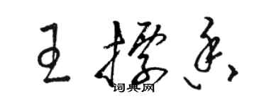 骆恒光王标香草书个性签名怎么写