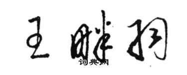 骆恒光王畔羽草书个性签名怎么写