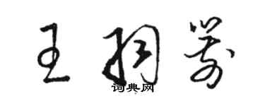 骆恒光王羽箭草书个性签名怎么写