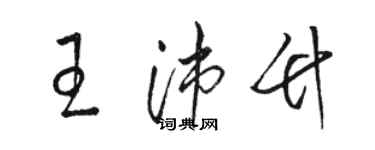 骆恒光王沛竹草书个性签名怎么写