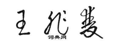 骆恒光王非双草书个性签名怎么写