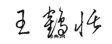 骆恒光王鹤恬草书个性签名怎么写