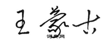 骆恒光王蒙古草书个性签名怎么写