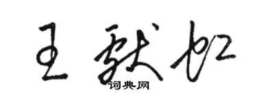 骆恒光王献虹草书个性签名怎么写