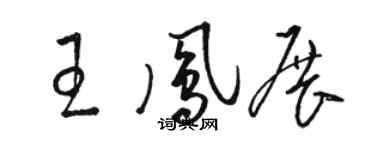 骆恒光王凤展草书个性签名怎么写
