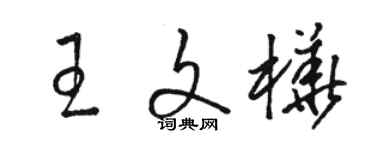骆恒光王文桦草书个性签名怎么写