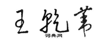 骆恒光王乾苇草书个性签名怎么写