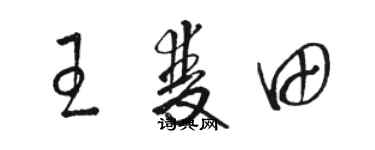 骆恒光王双田草书个性签名怎么写