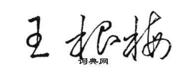 骆恒光王根梅草书个性签名怎么写