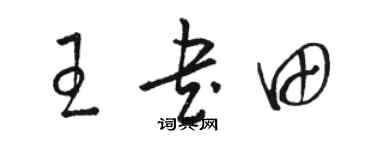 骆恒光王书田草书个性签名怎么写