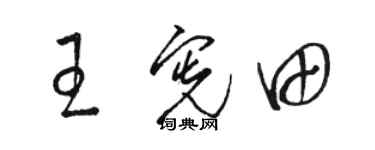 骆恒光王宪田草书个性签名怎么写