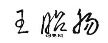 骆恒光王昭肠草书个性签名怎么写