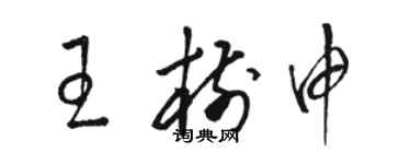 骆恒光王树申草书个性签名怎么写