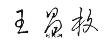 骆恒光王昌枚草书个性签名怎么写