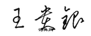骆恒光王贵银草书个性签名怎么写
