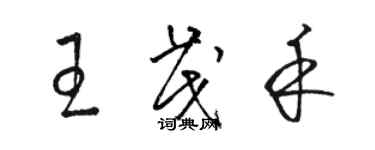 骆恒光王茂禾草书个性签名怎么写