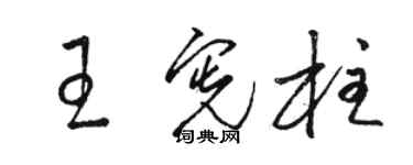 骆恒光王宪柱草书个性签名怎么写