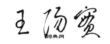 骆恒光王阳实草书个性签名怎么写