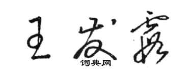 骆恒光王发霞草书个性签名怎么写