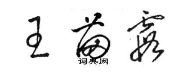 骆恒光王苗霞草书个性签名怎么写