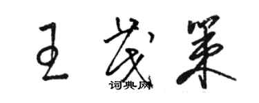 骆恒光王茂策草书个性签名怎么写