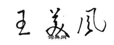 骆恒光王美风草书个性签名怎么写