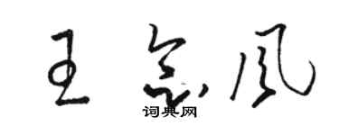 骆恒光王念风草书个性签名怎么写