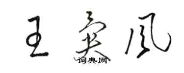 骆恒光王异风草书个性签名怎么写