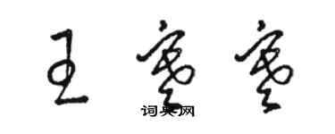 骆恒光王寒寒草书个性签名怎么写