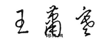 骆恒光王萧寒草书个性签名怎么写