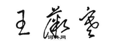 骆恒光王薇寒草书个性签名怎么写