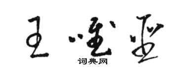 骆恒光王唯圣草书个性签名怎么写