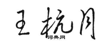 骆恒光王杭月草书个性签名怎么写