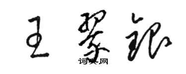 骆恒光王翠银草书个性签名怎么写
