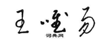 骆恒光王唯易草书个性签名怎么写