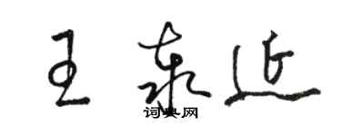 骆恒光王泰延草书个性签名怎么写