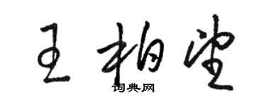 骆恒光王柏望草书个性签名怎么写
