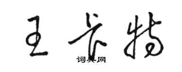 骆恒光王卡特草书个性签名怎么写