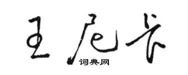 骆恒光王尼卡草书个性签名怎么写