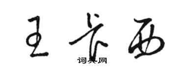 骆恒光王卡西草书个性签名怎么写