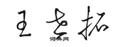 骆恒光王世拓草书个性签名怎么写