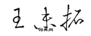 骆恒光王未拓草书个性签名怎么写
