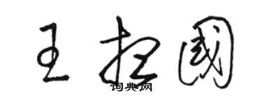 骆恒光王想国草书个性签名怎么写