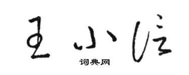 骆恒光王小信草书个性签名怎么写