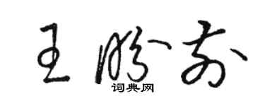 骆恒光王盼前草书个性签名怎么写