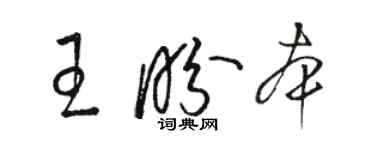 骆恒光王盼本草书个性签名怎么写