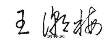 骆恒光王潮梅草书个性签名怎么写